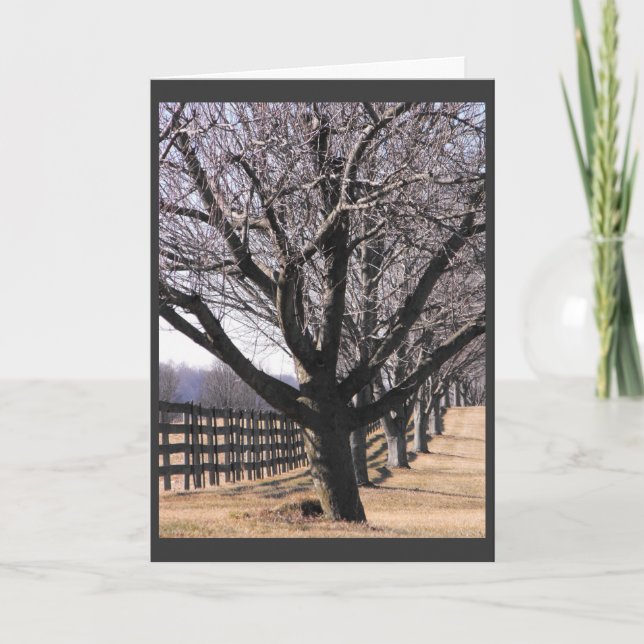 Thank our Veterans 6 Holiday Card (Front)