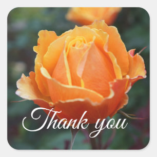 Thank You About Face Rose #1 Stickers