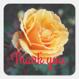 Thank You About Face Rose #3 Stickers