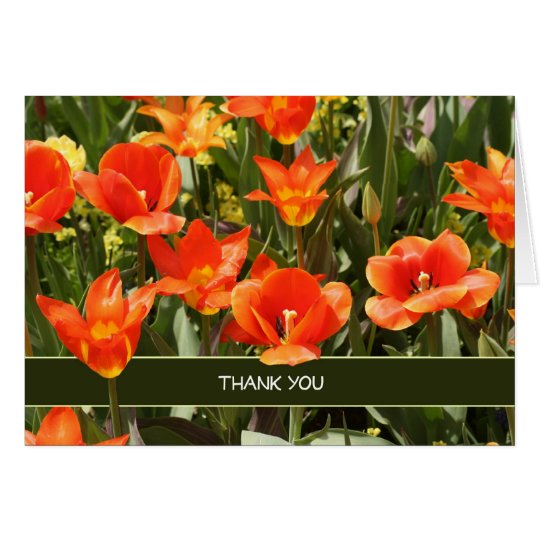 Thank You Administrative Professionals Day Card