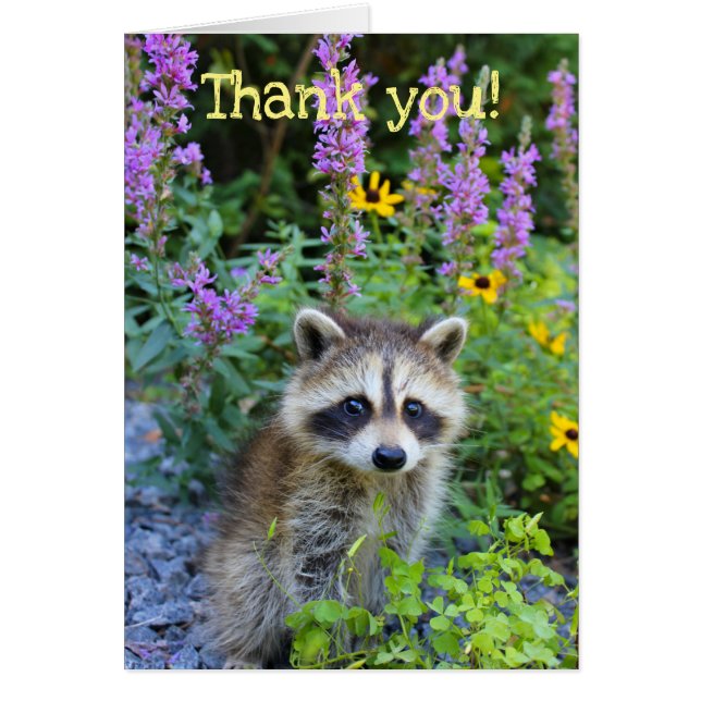 Thank you among the flowers (Front)