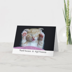 Thank You and High Five, Sleeping Kitten Card
