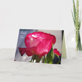 Thank You/ Any Occasions_Card Thank You Card