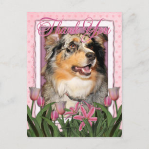 Thank You - Australian Shepherd - Dustine Postcard