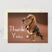 Thank You Basset Hound Greeting Post Card (Front/Back)