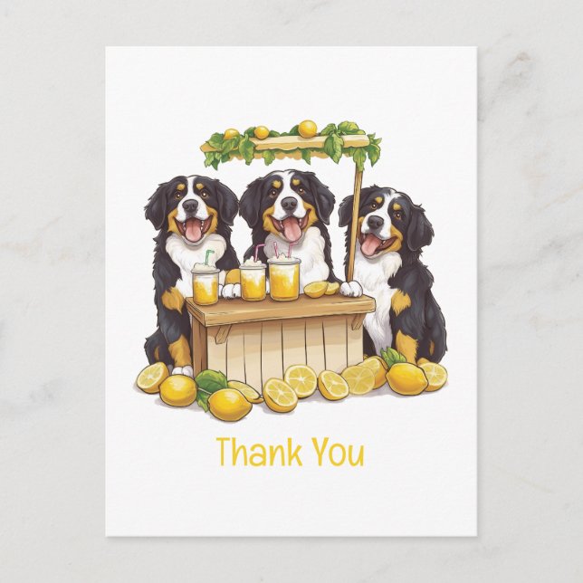 Thank You Bernese Mountain Dogs Lemonade Stand Postcard (Front)