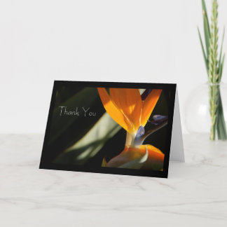 THANK YOU Bird-of-Paradise Card