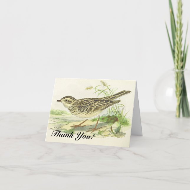 "Thank You!", Bird Standing on the Ground Card (Front)
