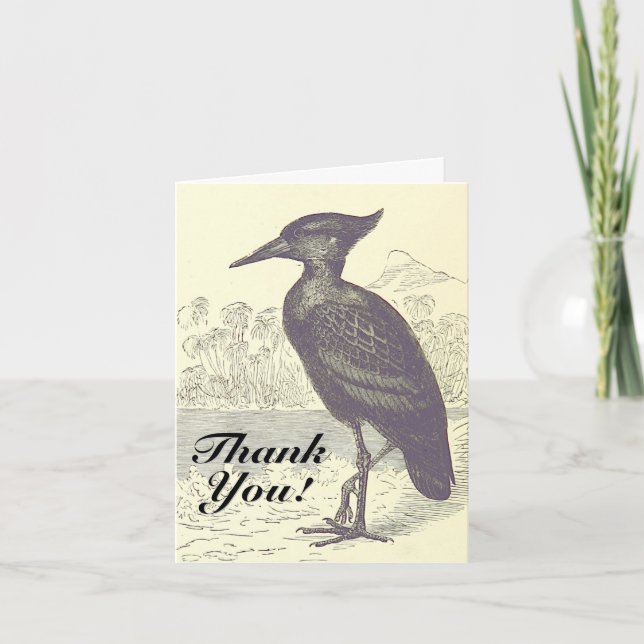 "Thank You!", Bird Standing on the Ground Card (Front)