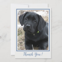 Thank You Black Labrador- Blue Grey Cute Puppy Dog