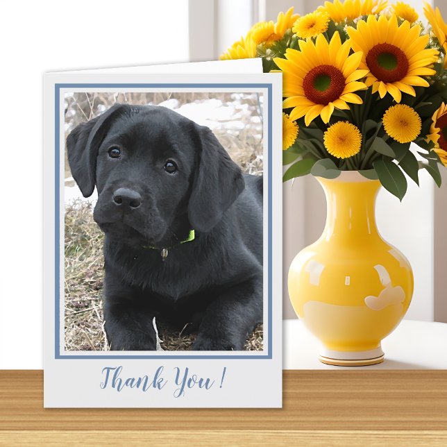 Thank You Black Labrador - Cute Puppy Dog (Creator Uploaded)