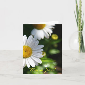 Thank You Blank, Daisy