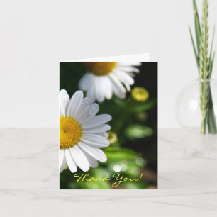 Thank You Blank, Daisy Card