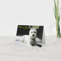 Thank You, Blank, Mini Schnauzer