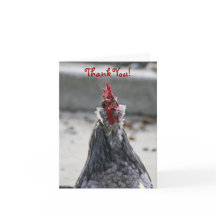 Thank You, Blank, Rooster