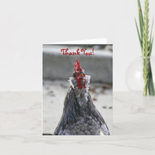 Thank You, Blank, Rooster Thank You Card