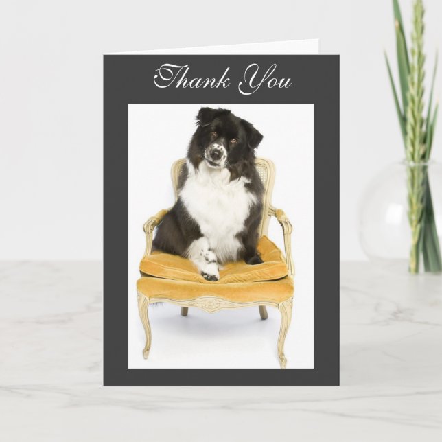 Thank You Border Collie Card (Front)