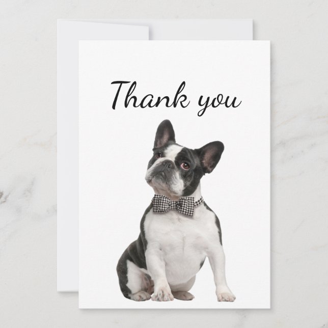 Thank You Boston Terrier Dog Pet Animal  (Front)