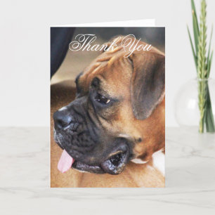 Thank You Boxer dog greeting card