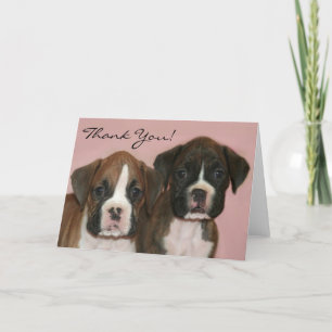 Thank you Boxer Puppies greeting card