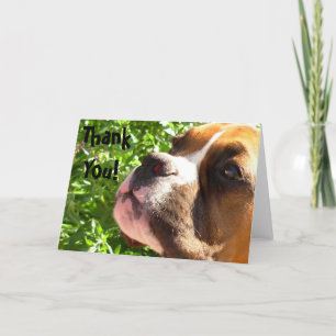 Thank you Boxer puppy greeting card