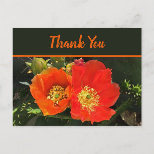 Thank You Bright Desert Bloom Photo Cactus Flower Postcard