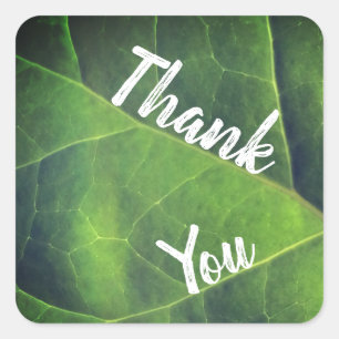 Thank You Bright Green Leaf Appreciation Square Sticker