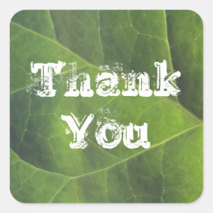Thank You Bright Green Leaf Photo Appreciation Square Sticker