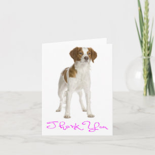 Thank You Brittany Spaniel Puppy Dog Card