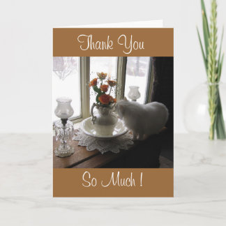 Thank You Bugsy/orange roses