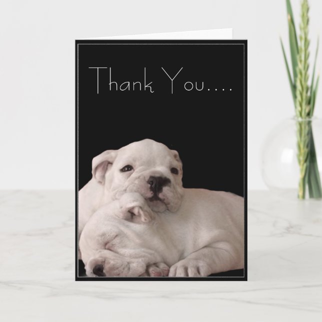 Thank You Bulldog Puppies Greeting Card (Front)