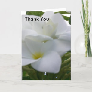 Thank You Card