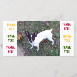 Thank You Card