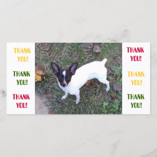 Thank You Card