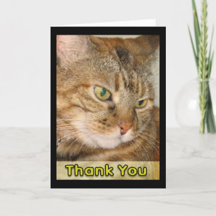 thank you card