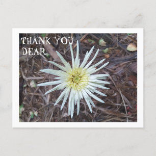 THANK YOU CARD