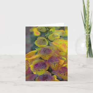 Thank You Card