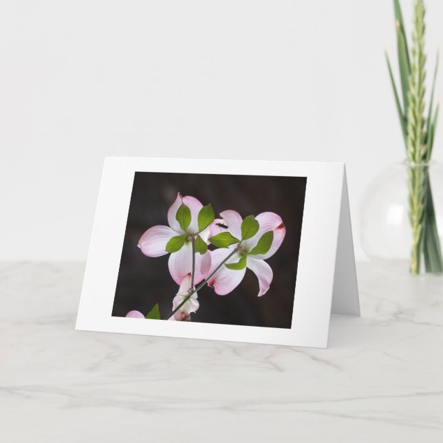 THANK YOU CARD (Front)