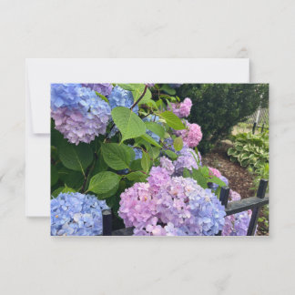 Thank You .. Card