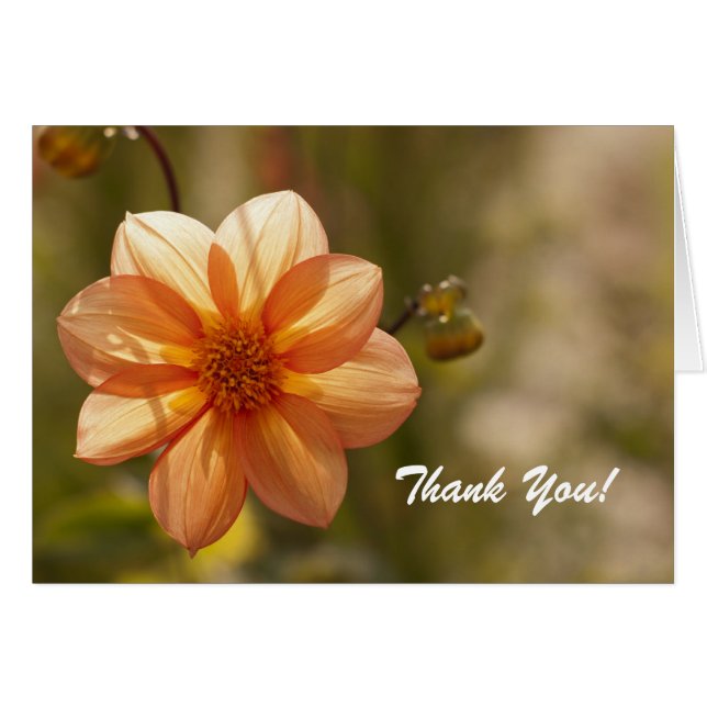 Thank You! Card (Front Horizontal)