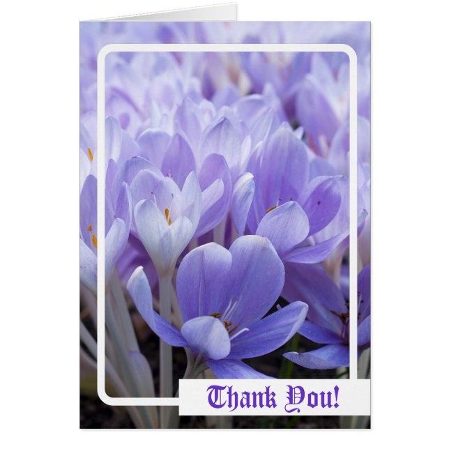 Thank You! Card (Front)