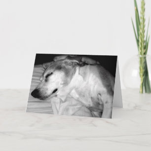THANK YOU CARD 2