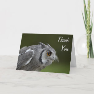 Thank You Card - Baby Grey Owl