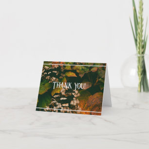 Thank You Card Blank Inside Fall Colours