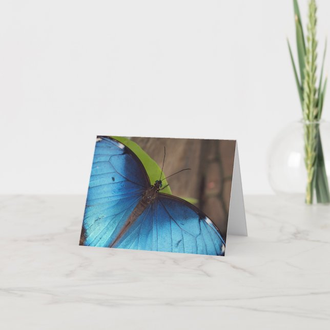 Thank you Card, Blue Morpho Card (Front)
