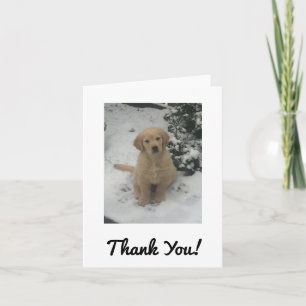 Thank You Card - Faith Golden Retriever.