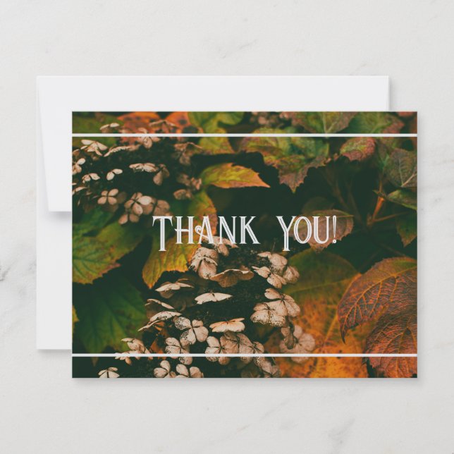 Thank You Card Fall Foliage Personalise (Front)