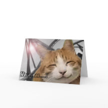 Thank You Card - Happy Cat