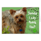 Thank you Card Humour