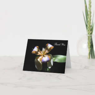 Thank You Card - Iris Flower on Black Background